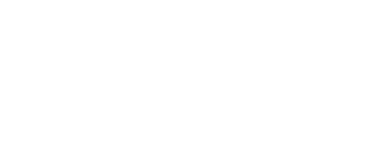 BluHawk Media